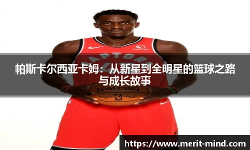 XK星空官方网站