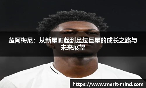 XK体育