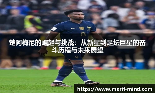 XK体育